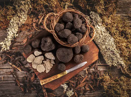 Black and white truffles in a basket for display