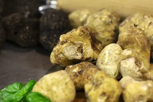 An assortment of white truffles
